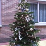 Toch een kerstboom voor bewoners De Heemhaven