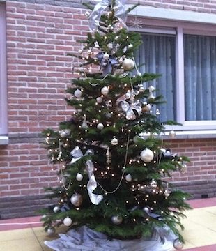 Toch een kerstboom voor bewoners De Heemhaven