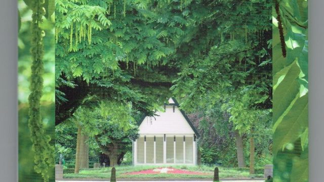 Begraafpark Kleverlaan in Haarlem