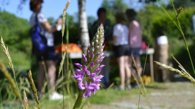 5_2018_lentefestival_heimanshof_hoofddorp