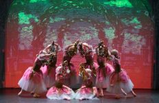 Klassiek ballet Sint-Petersburg in Hoofddorp