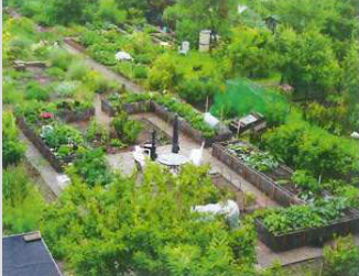 Moestuinieren aan de rand van Heemstede