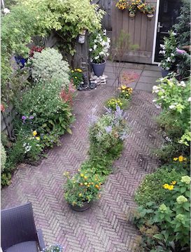 Tuinenwedstrijd: dit is de mooiste van deze week