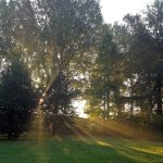 Mindful wandelen, verbinding met natuur vanuit intuïtie