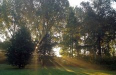 Mindful wandelen, verbinding met natuur vanuit intuïtie