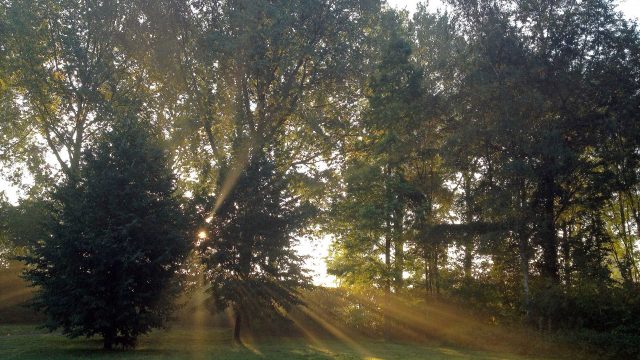 Mindful wandelen, verbinding met natuur vanuit intuïtie