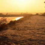 14-10-2018 - Vogeltrek in de Hekslootpolder