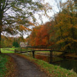 Meehelpen de natuur mooi te houden in Middenduin