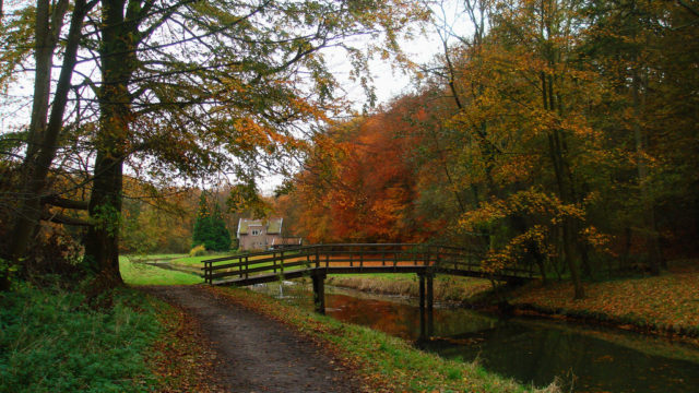 Meehelpen de natuur mooi te houden in Middenduin