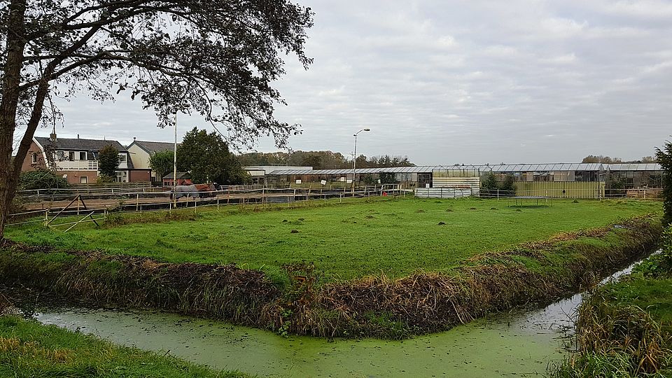 Gemeenteraad geeft groen licht voor plannen Manpadslaangebied
