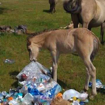 12_2018_plastic_noordholland_maatregelen