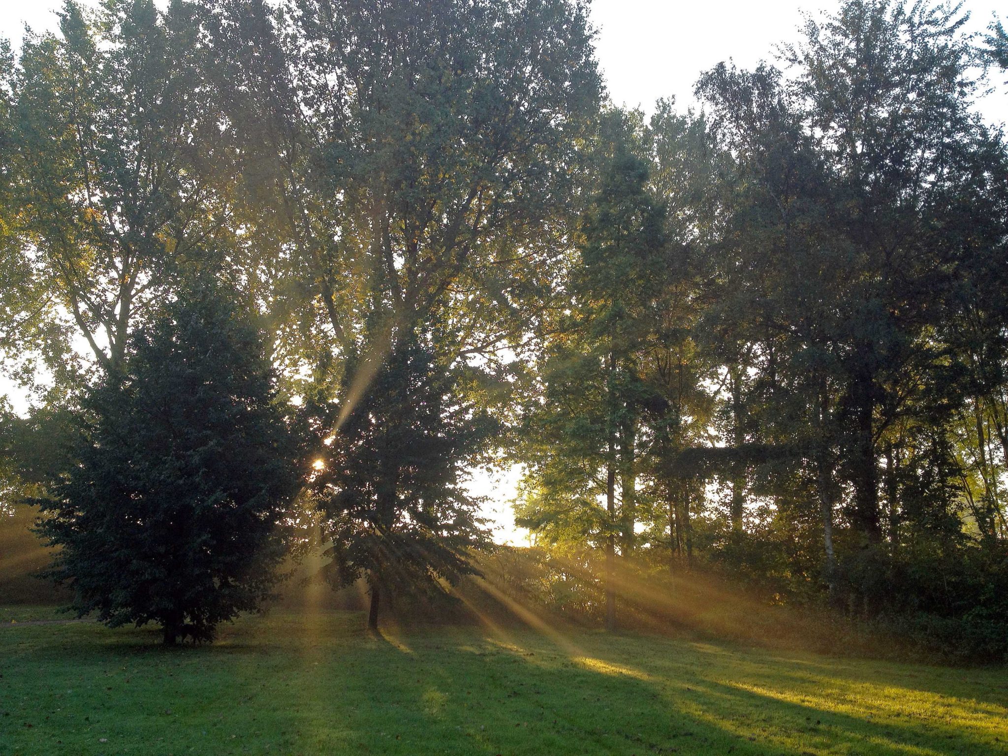 Mindful wandelen in park Zwaanshoek