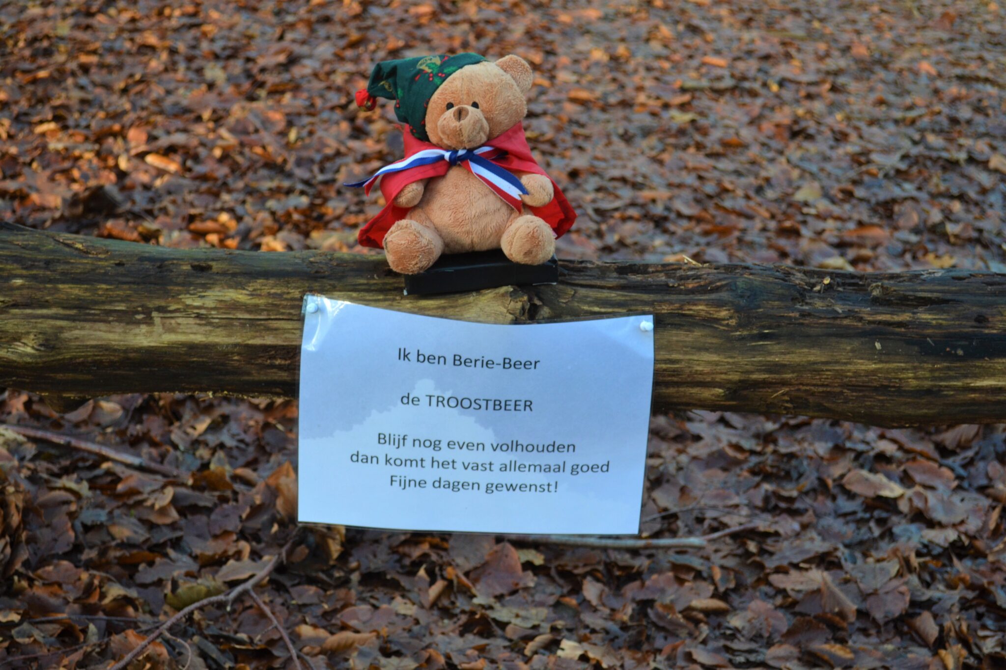 Beren in Leyduin - De Heemsteder