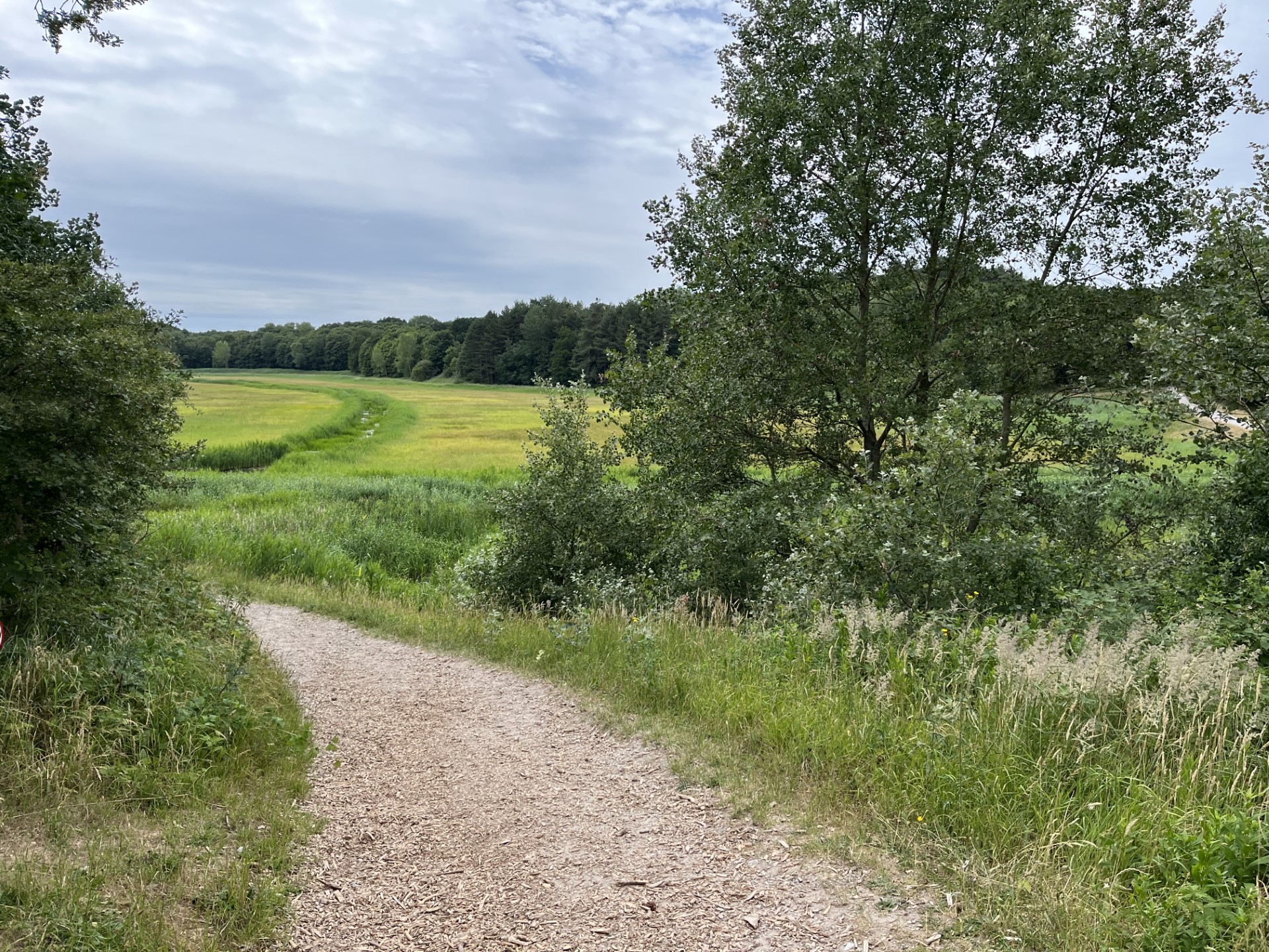 Bibliotheek Vogelenzang biedt werkplek aan provincie