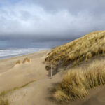 Strand-en-duin-Foto-Ronald-van-Wijk-640x360