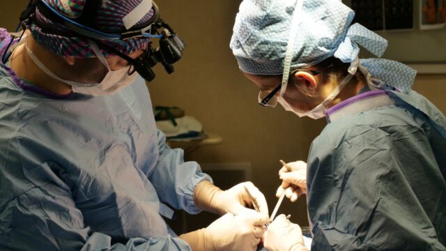 haartransplantatie