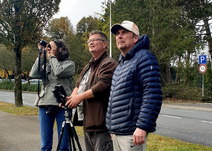 Op zoek naar de Aziatische hoornaar