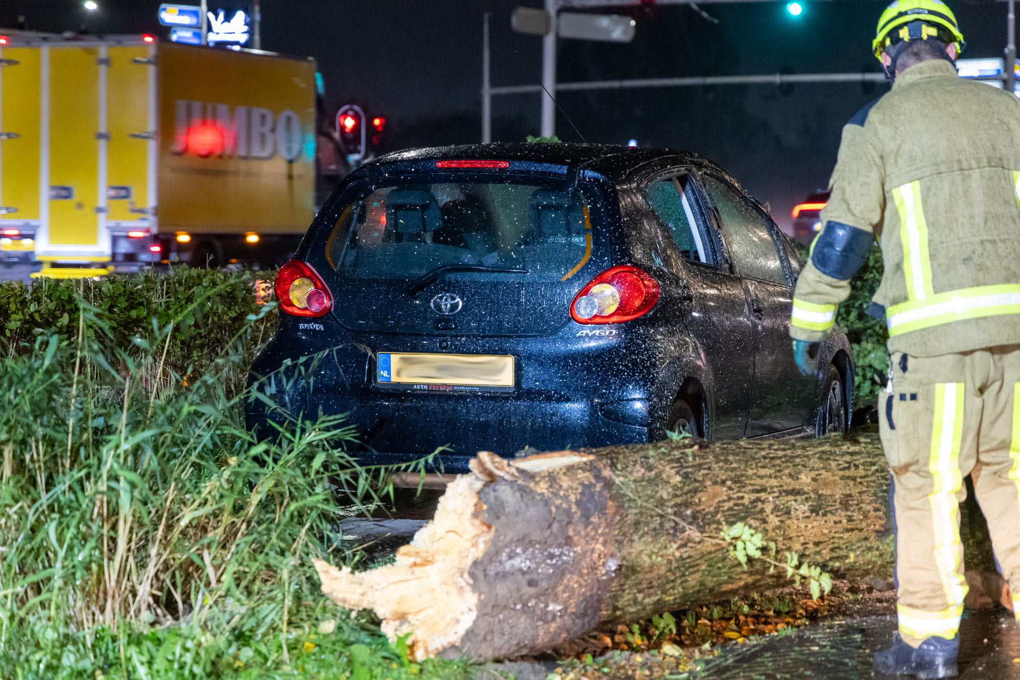 Boom valt op geparkeerde auto op Schipholweg