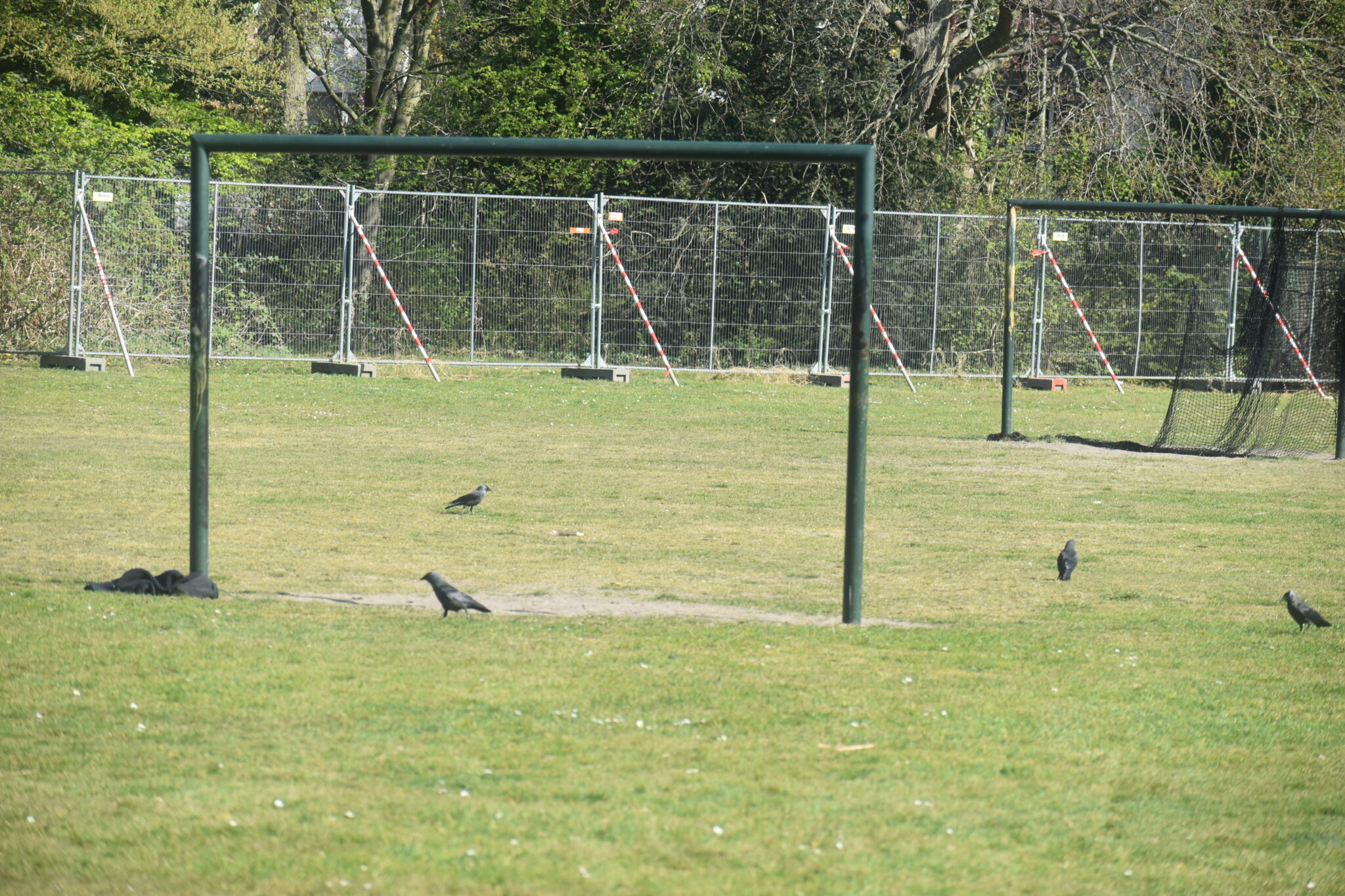 Geen azc op speelveld SEIN en Binnenweg 160