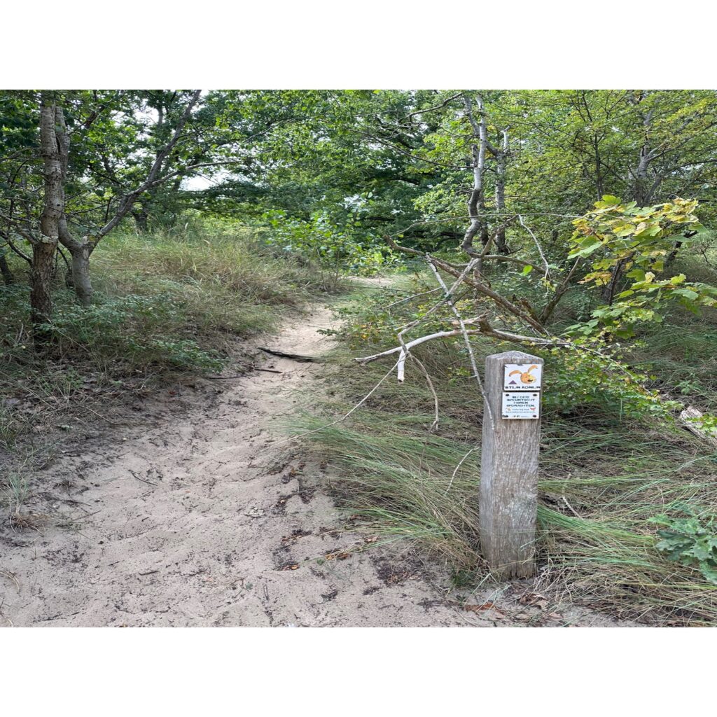 De Bloemendaler strijkt neer op een wandelpad
