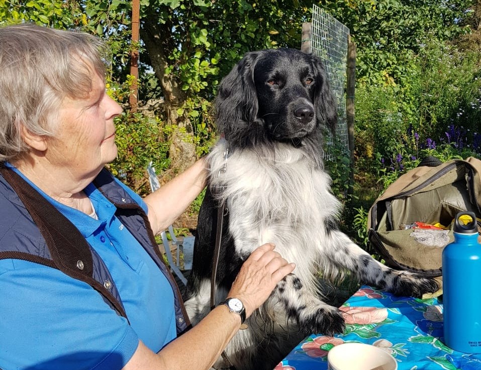 Vrijwilliger Ineke van Huissteden: “Als je verenigingslid bent, moet je er ook wat doen”