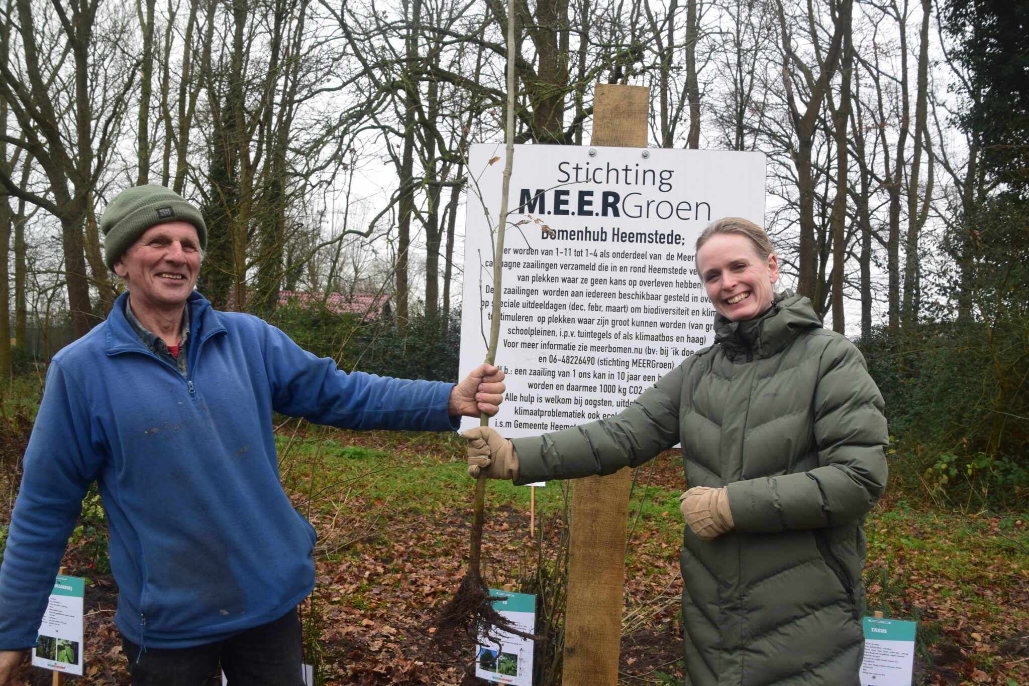 Bomenuitdeeldag: MEERgroen voor een beter klimaat