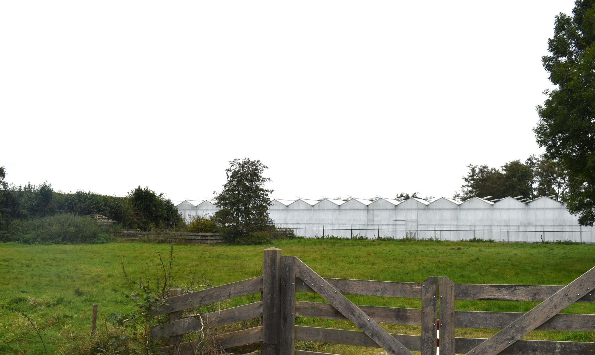 Bericht van de ontwikkelaar Manpadslaangebied