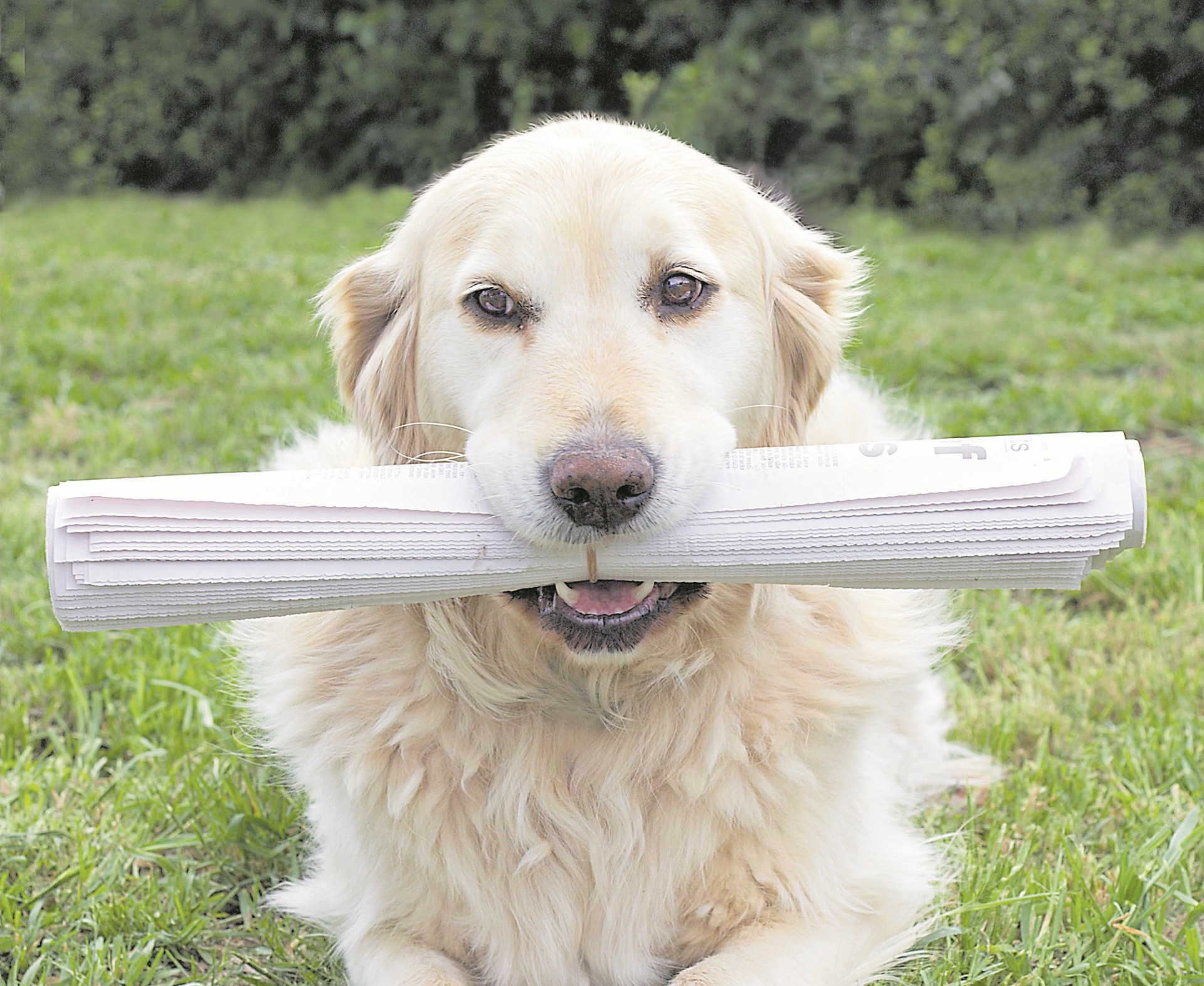 Uw bezorger belt volgende week bij u aan