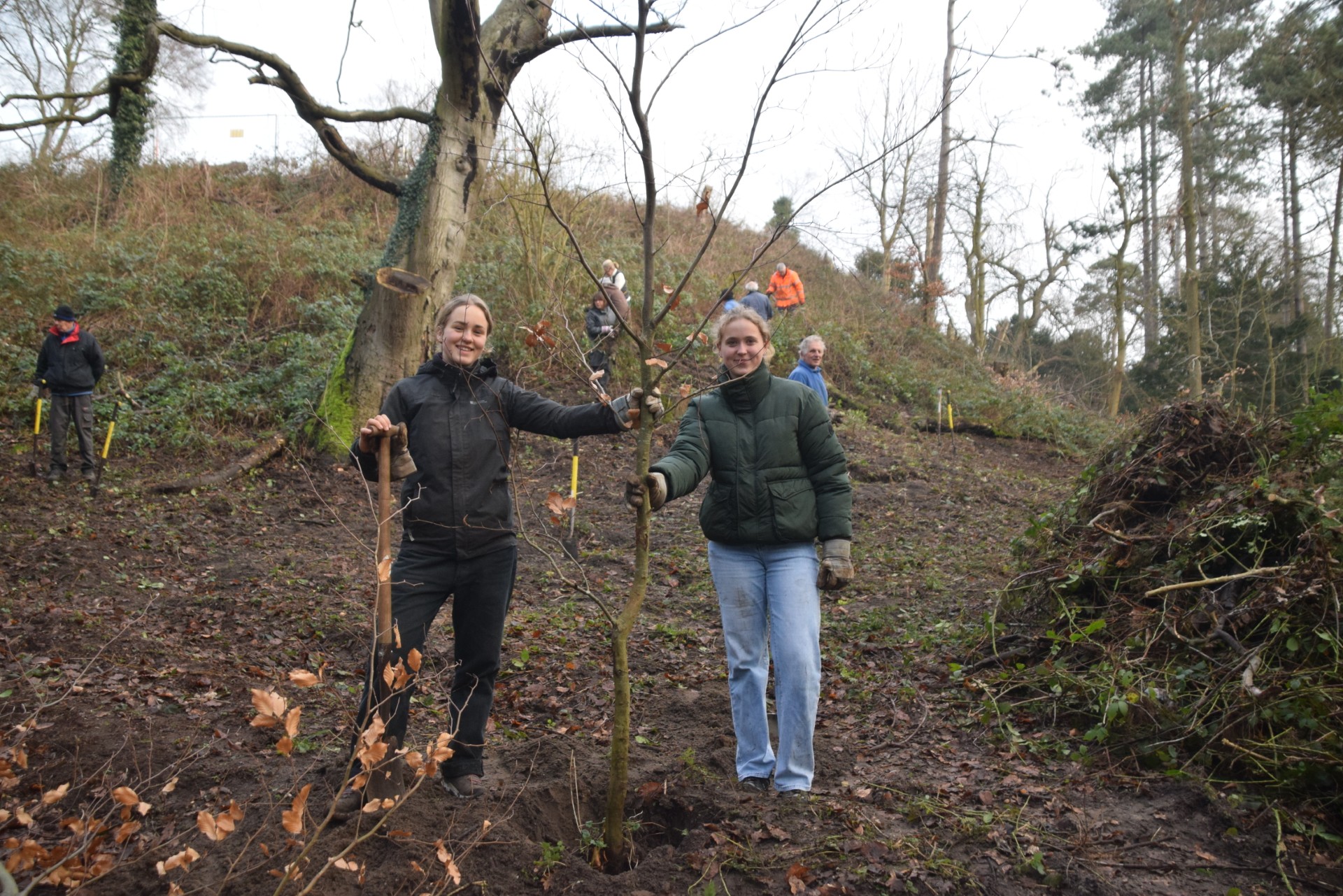 Na de eerste paal, nu ook de eerste boom bij de Belvedère