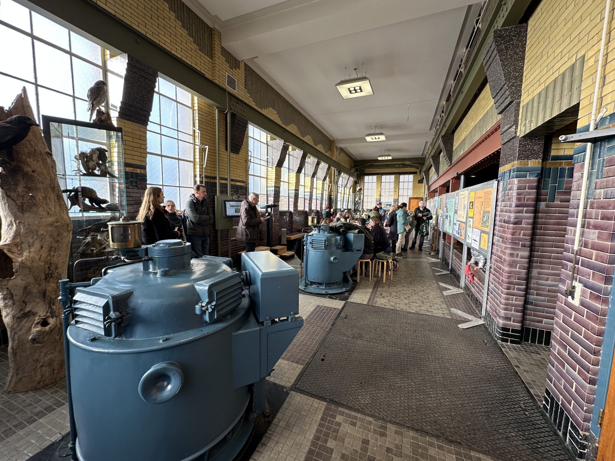 Aandacht voor vogels in Vogelenzang