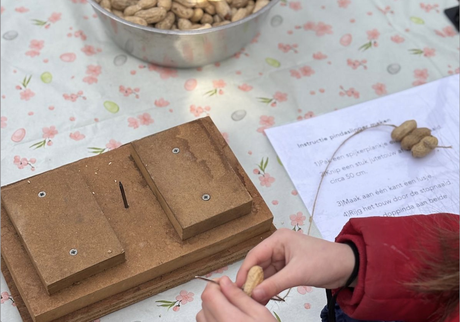 Vakantievogelen, leer alles over vogels