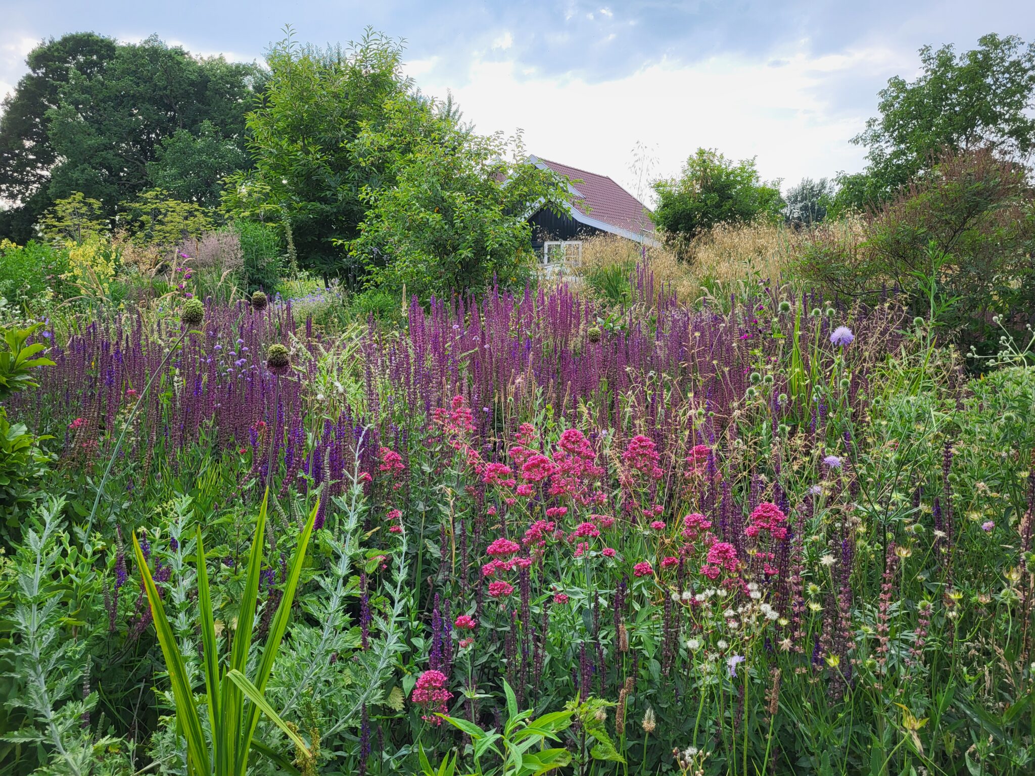 Lezing Groei & Bloei over tuin met grote dynamiek