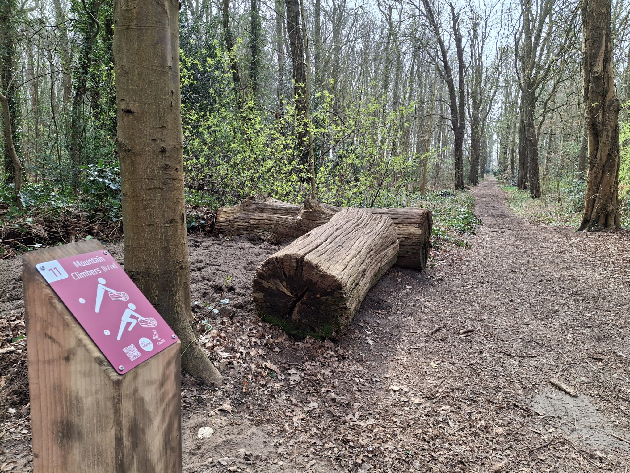 GGZ inGeest opent Kie-Fit beweegpad