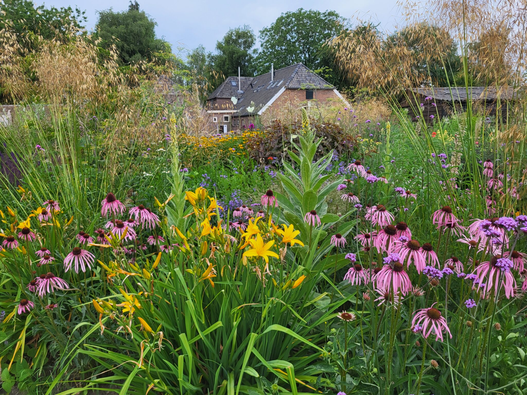 Wonen en werken in een wilde bloementuin