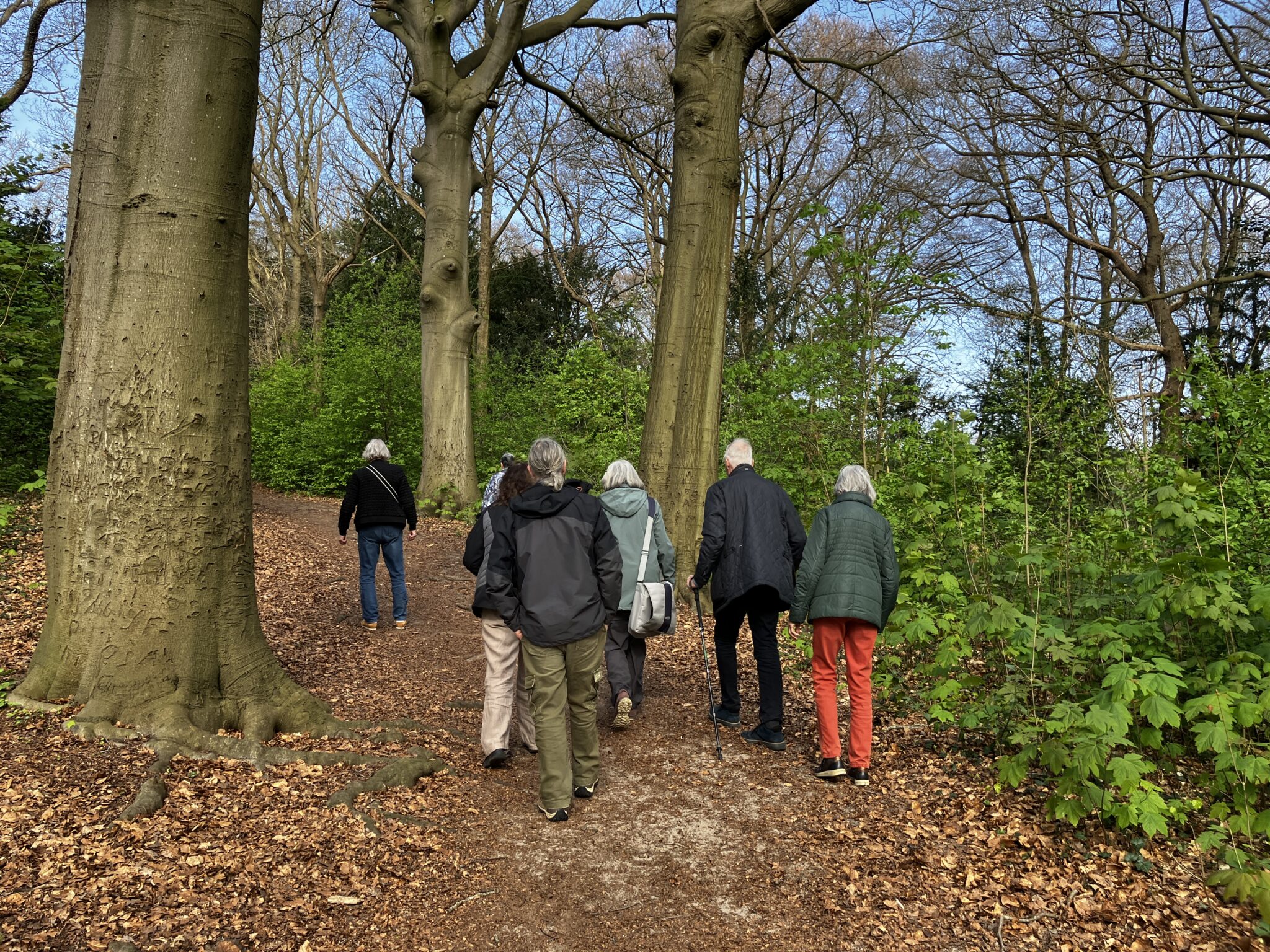 Wandelend historie en natuur van Bennebroek beleven