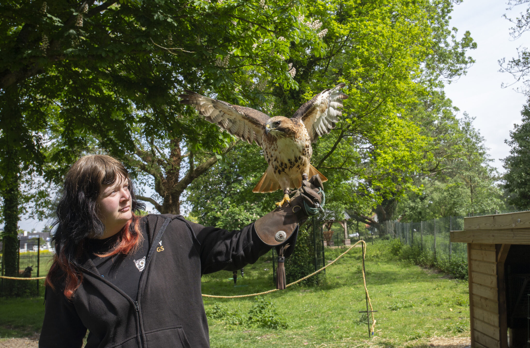 75-jarig jubileum Kinderboerderij uitbundig gevierd