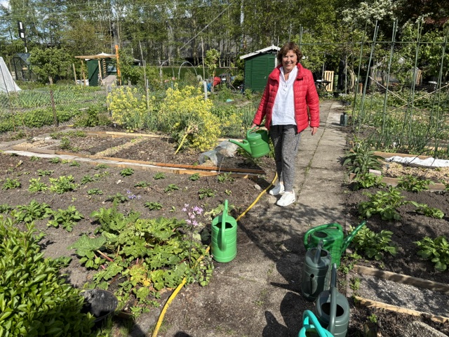 Moestuinvereniging Veen en Duin viert 40-jarig bestaan