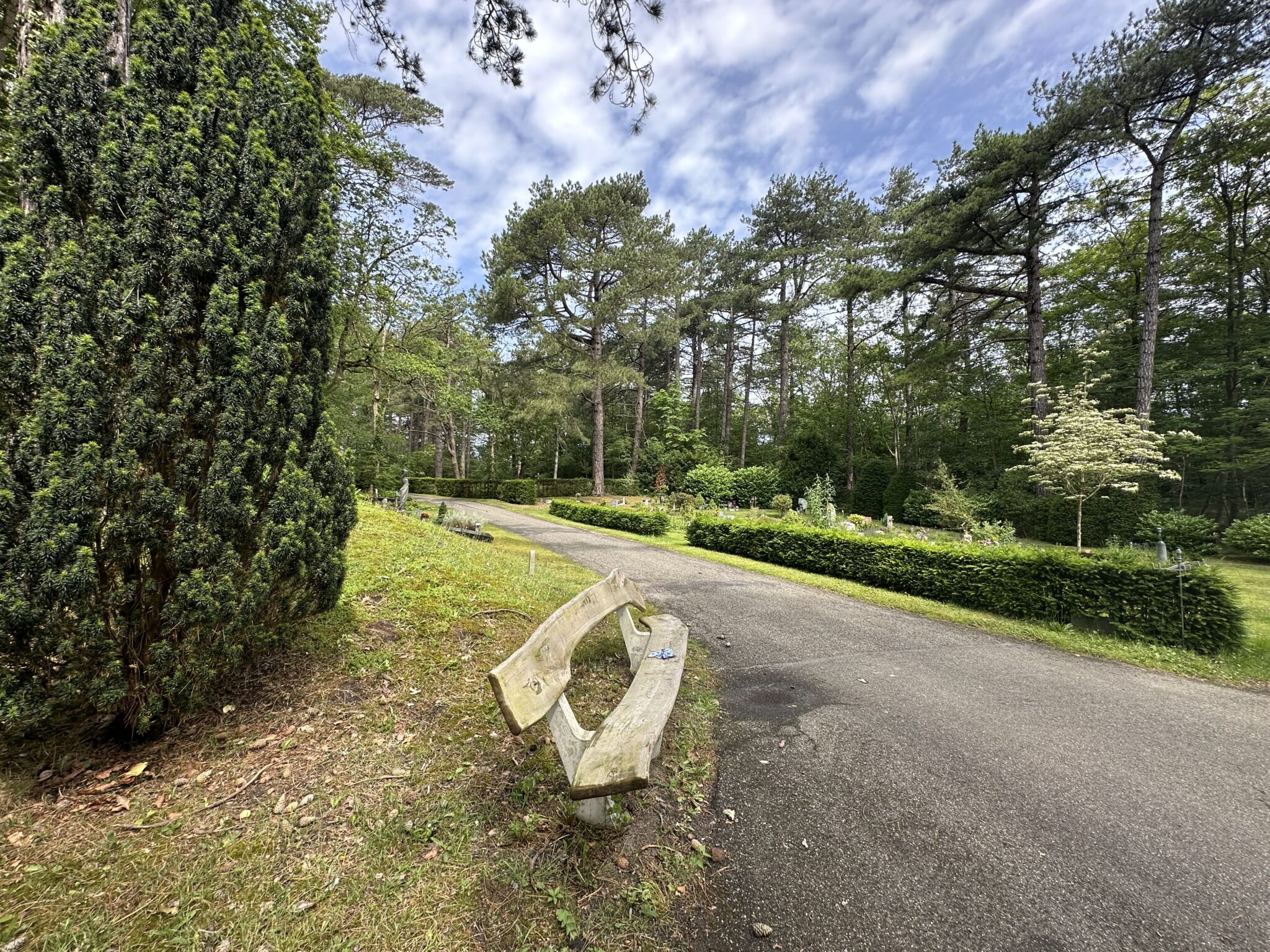 Neerstrijken op de Begraafplaats Bergweg