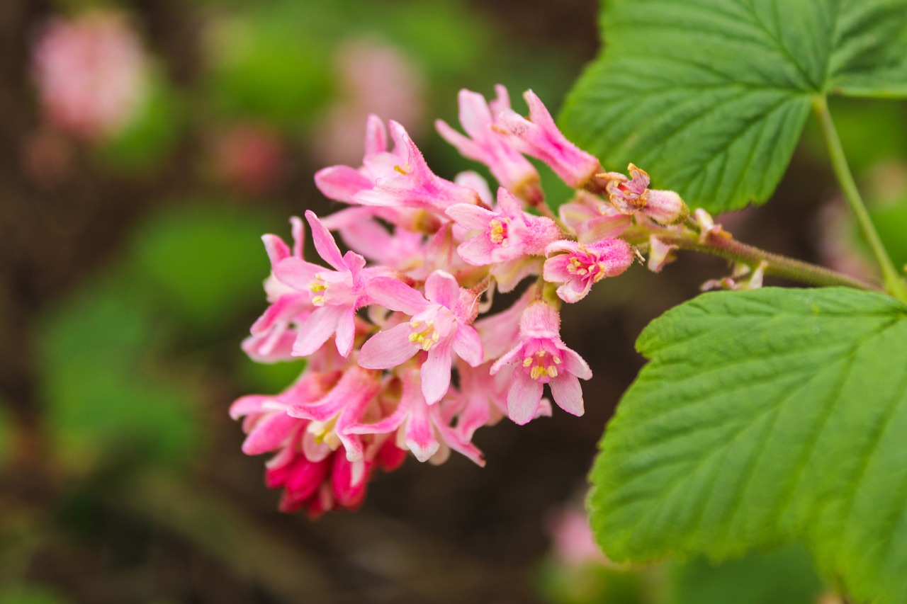 Vraag naar exclusieve tuinen stijgt in Heemstede en Bloemendaal