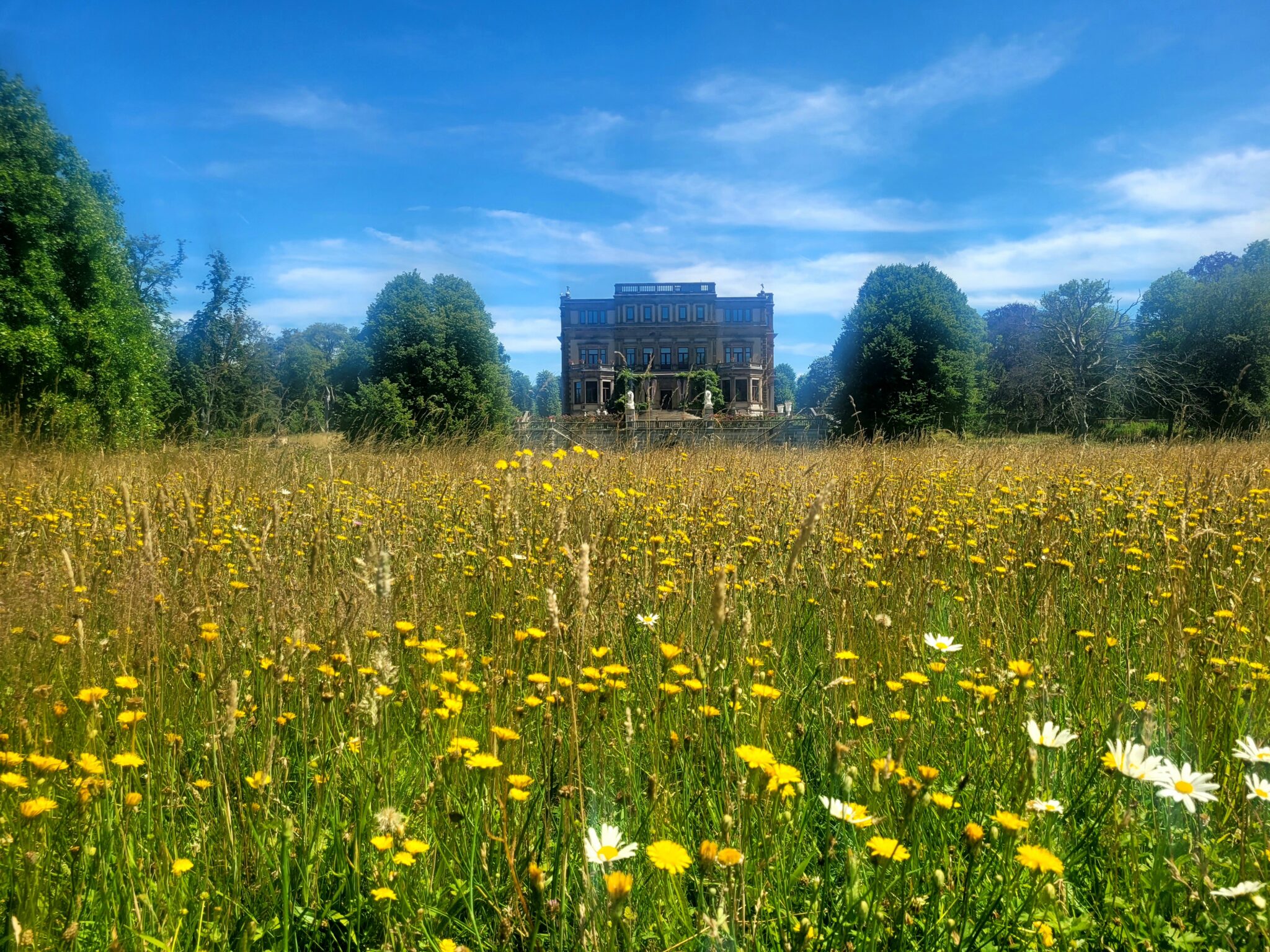 Elswout: cultuur, historie, natuur en beleving