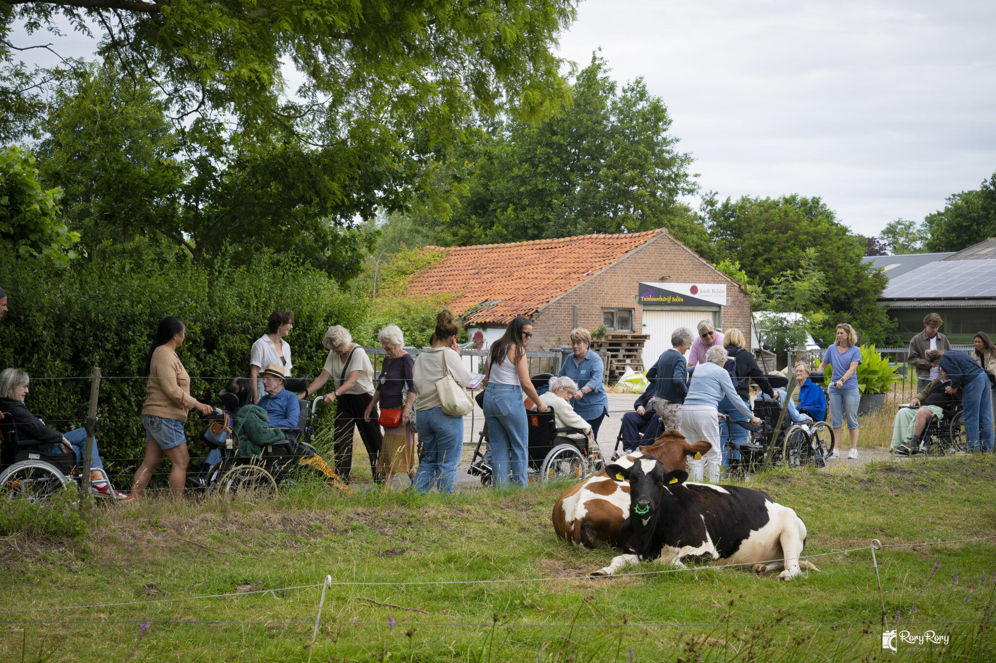 Jaarlijkse wandeldag Heemhaven weer een succes