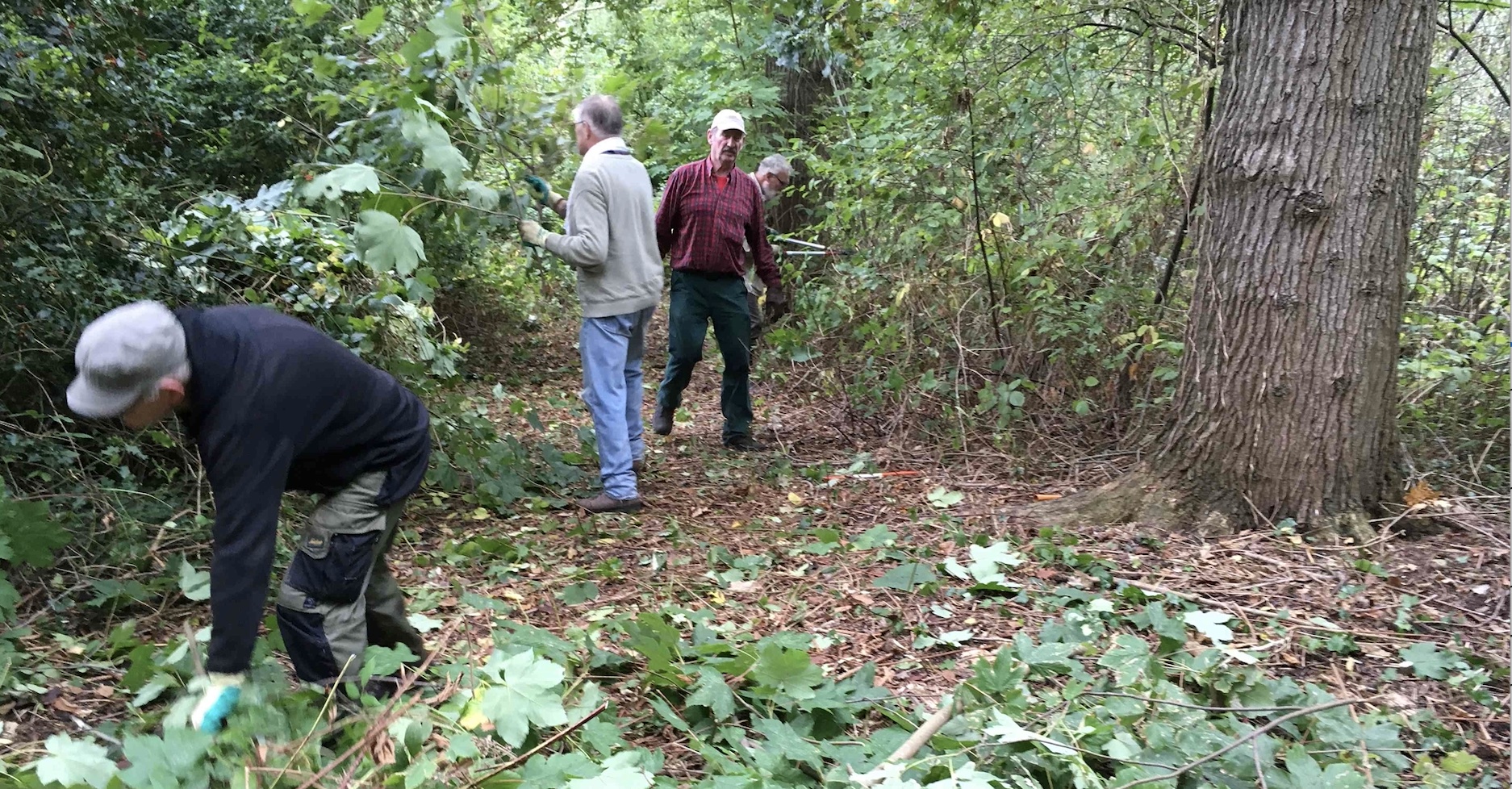 Werkdag in vogelbosje Eindenhout