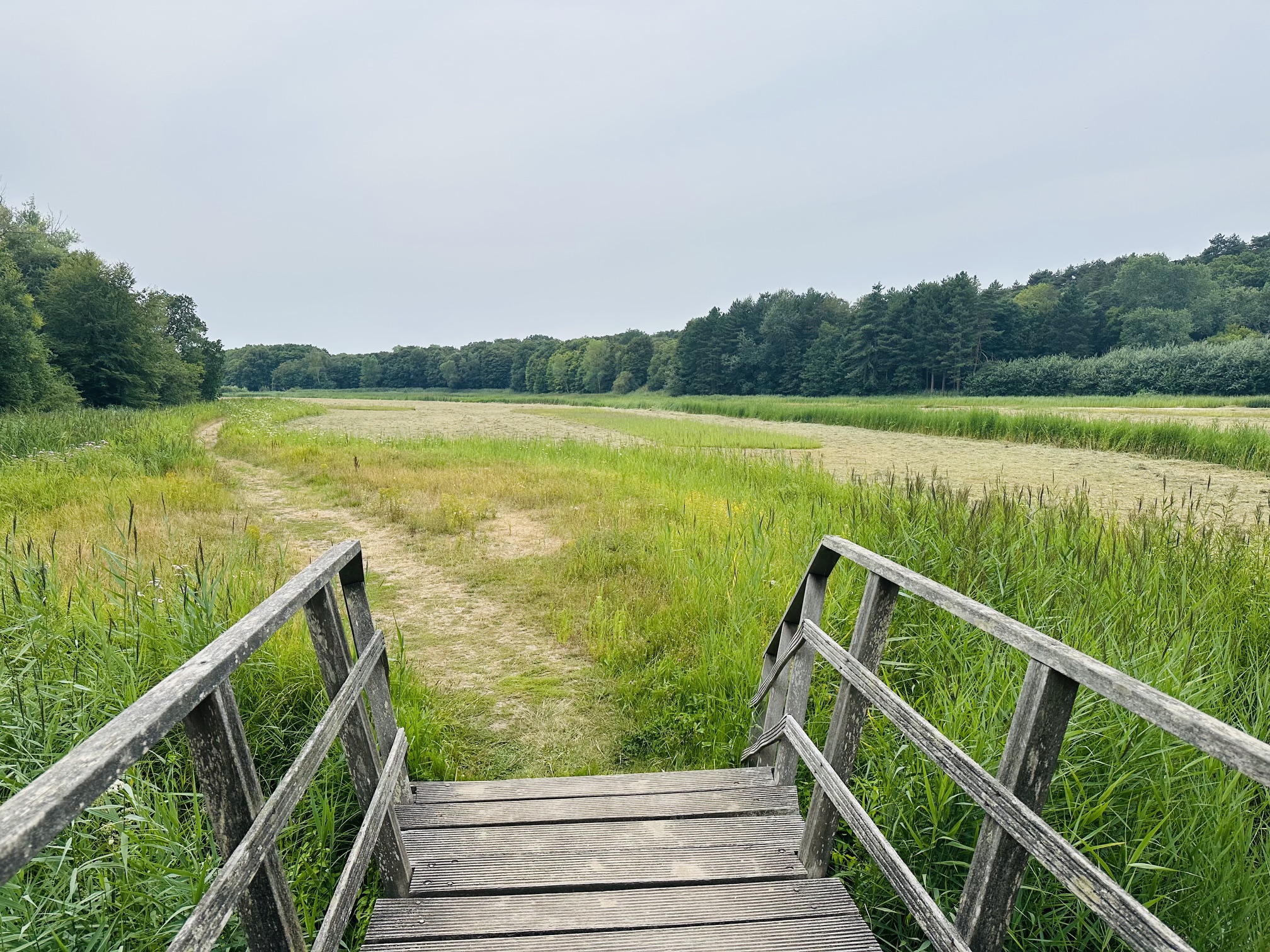 Vakantiegevoel in eigen omgeving: Middenduin