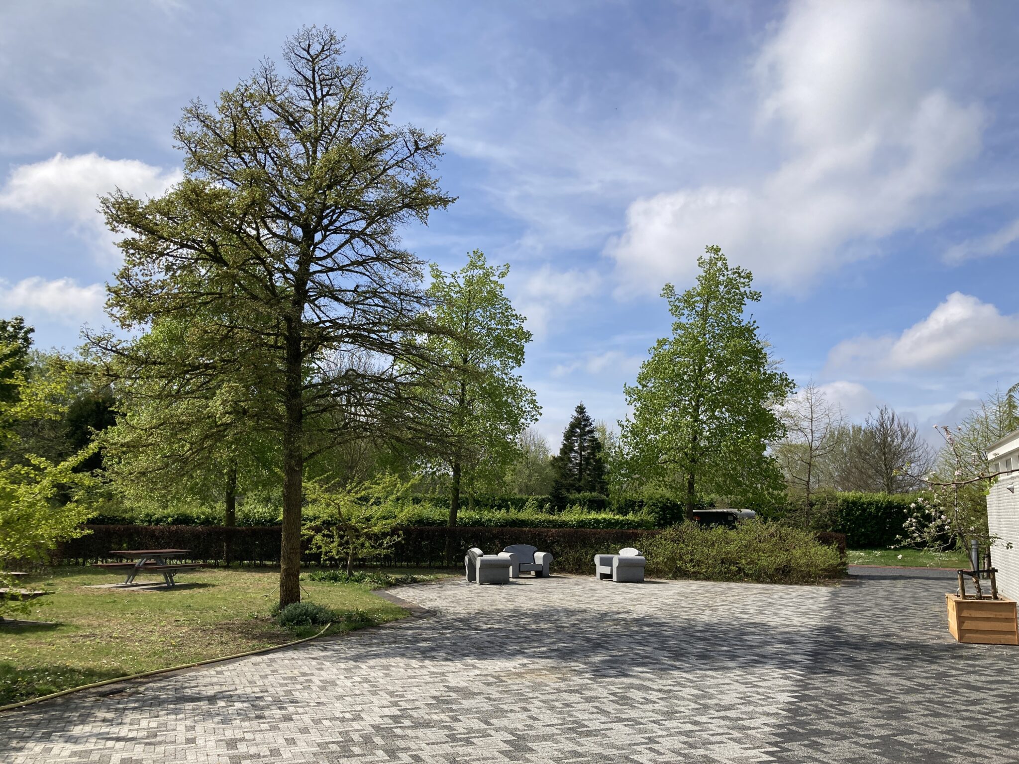 Langs de bomen van de Meerterpen