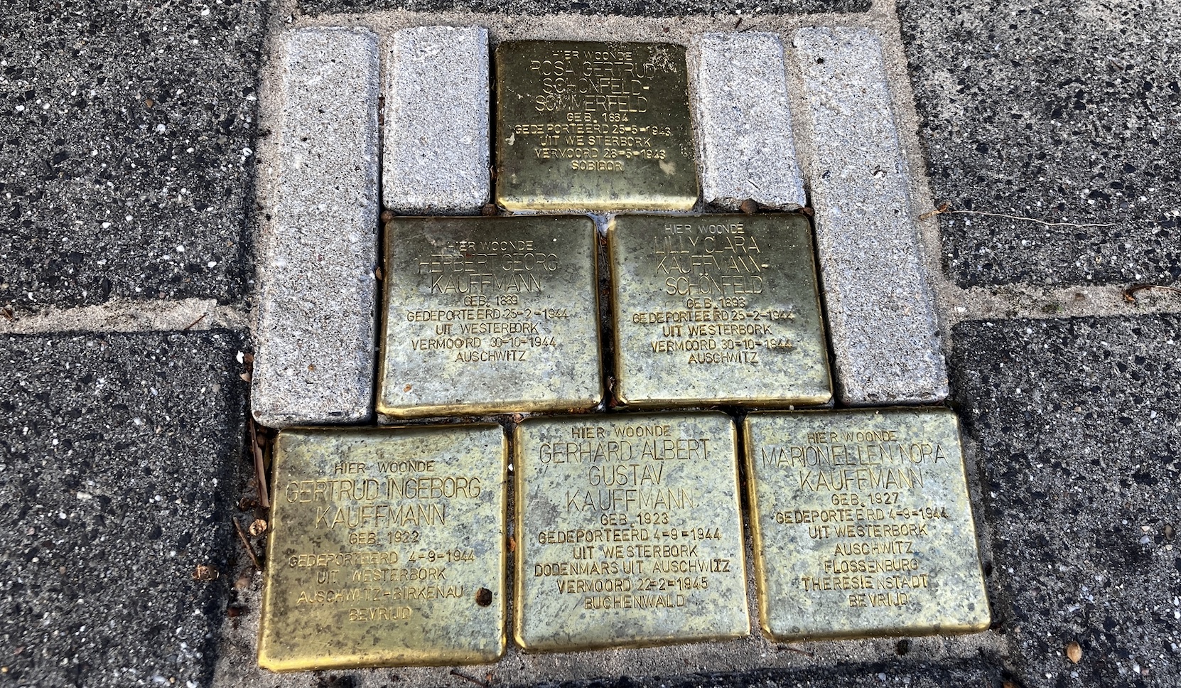 Struikelstenen in de Rembrandtlaan